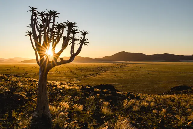 Foto von Sorimuc aus «Zurück nach Namibia - April & Mai 2026»