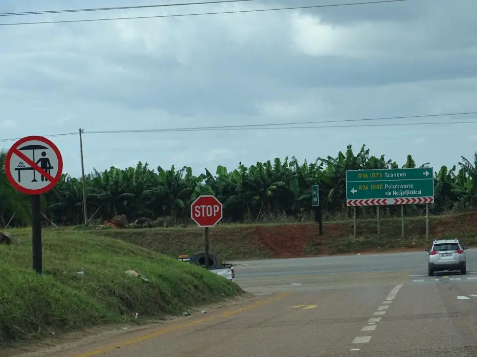 SA2016_010.jpg