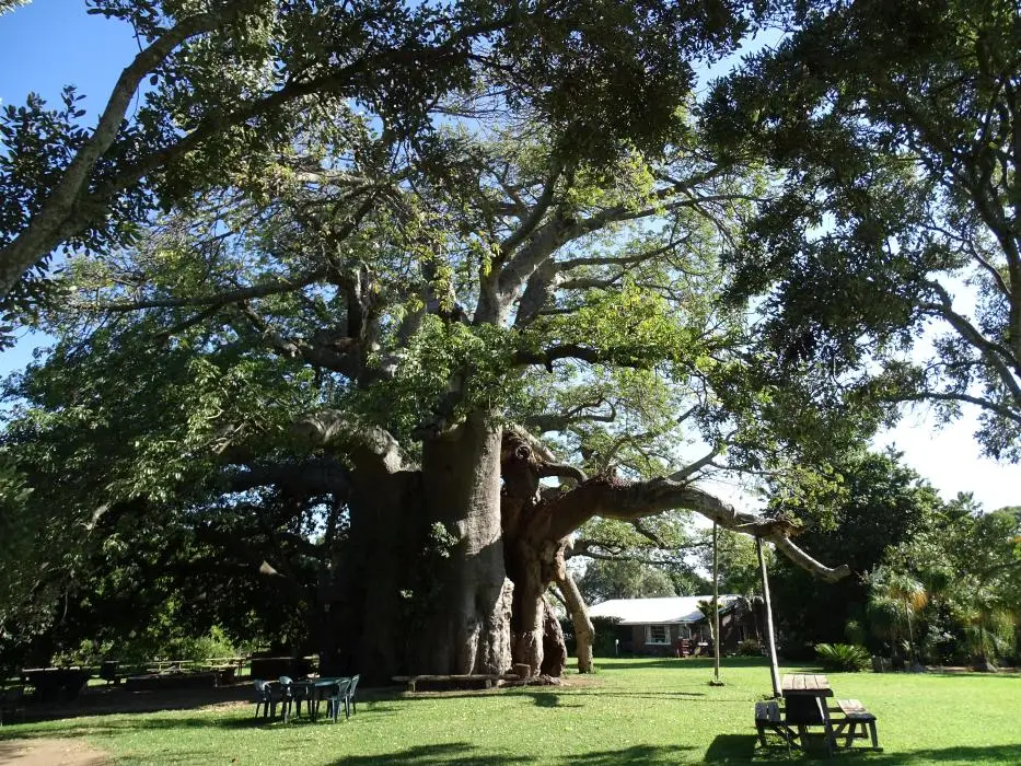 SA2016_007-2.jpg