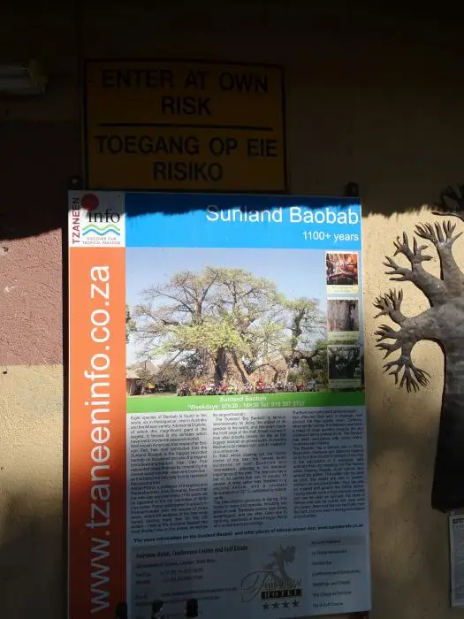 SA2016_008-2.jpg