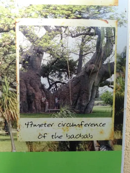 SA2016_009-2.jpg