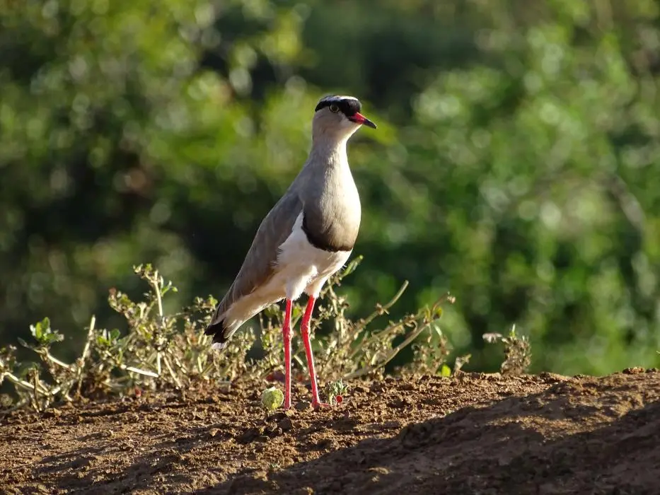 SA2016_020-2.jpg
