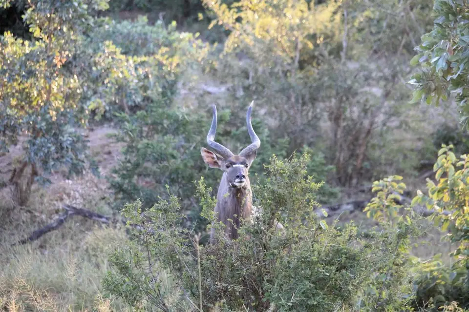 SA2016_031-2.jpg