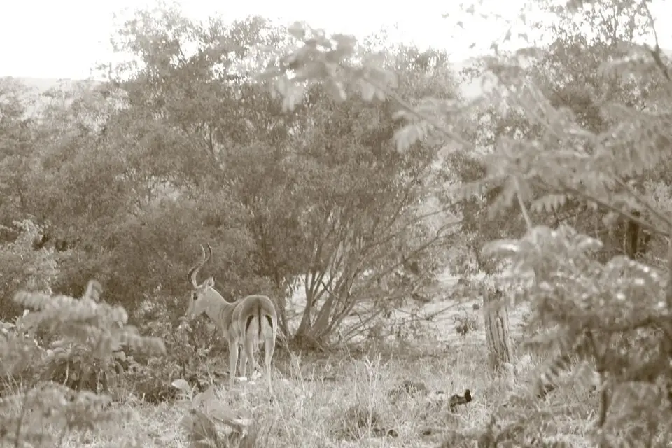 SA2016_002-2-3-4.jpg
