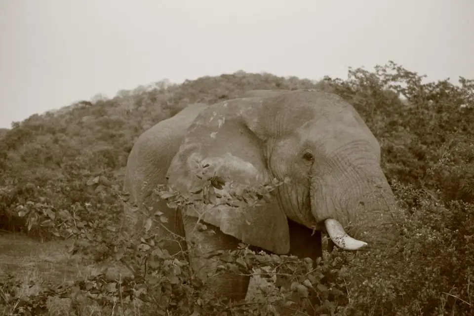 SA2016_003-2-3-4.jpg