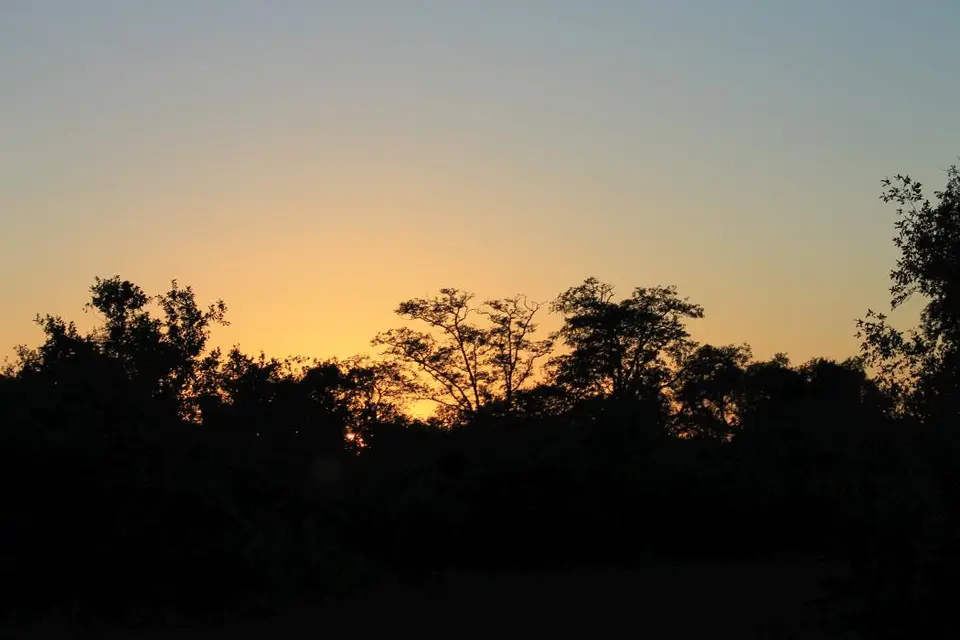 SA2016_006-2-3-4.jpg
