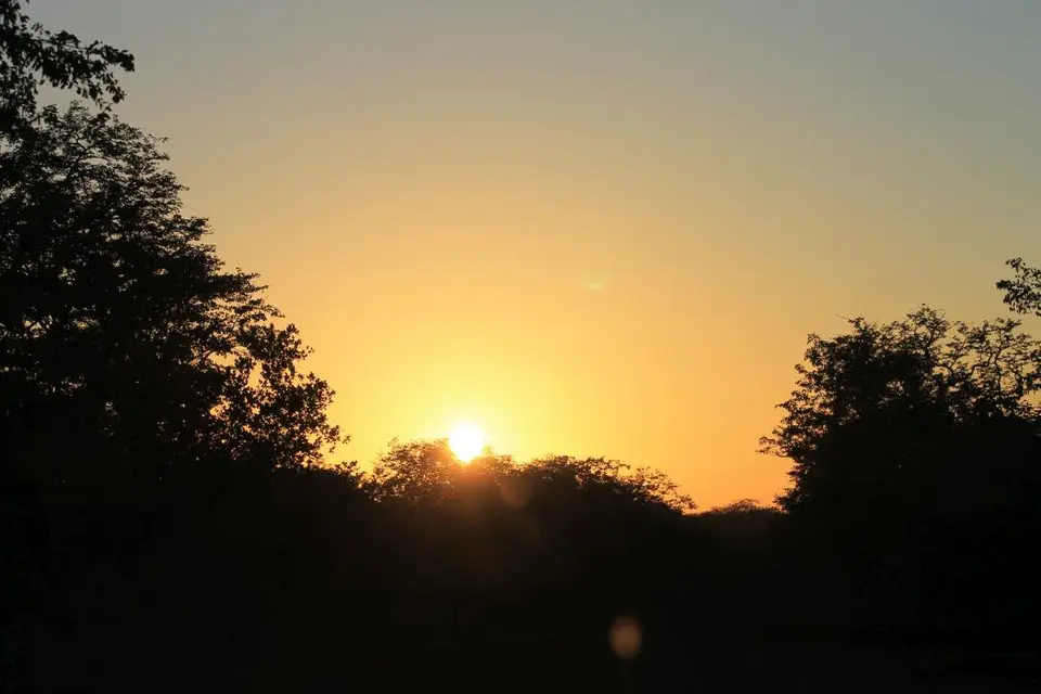 SA2016_007-2-3-4.jpg