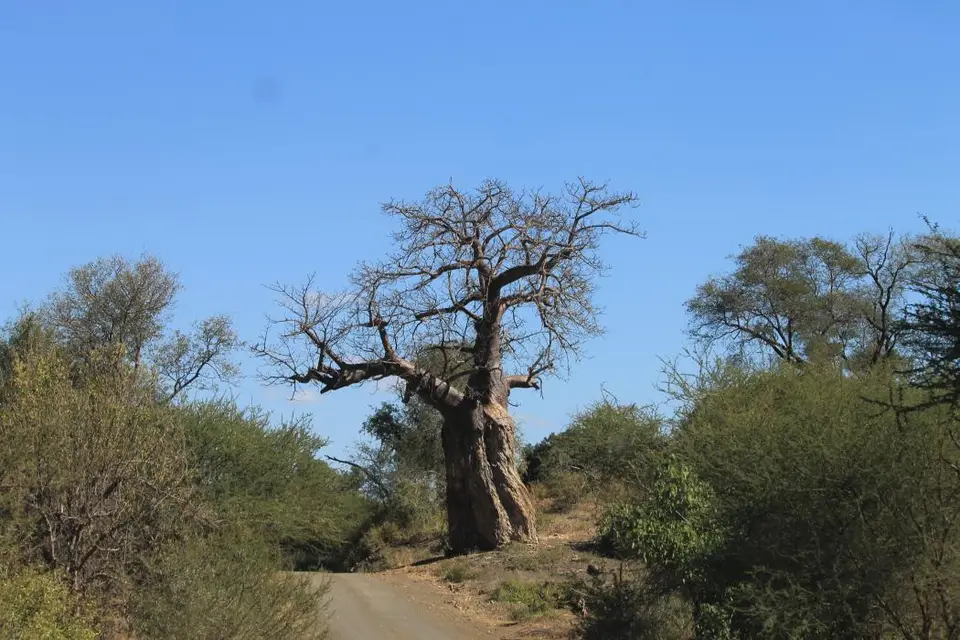 SA2016_050-2.jpg