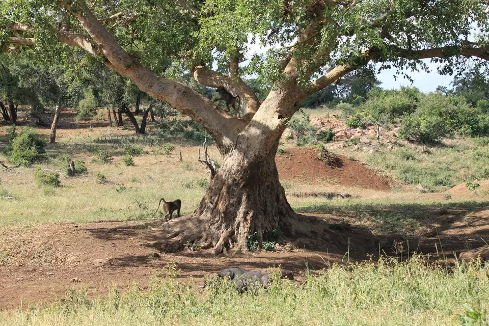 SA2016_010-2-3.jpg