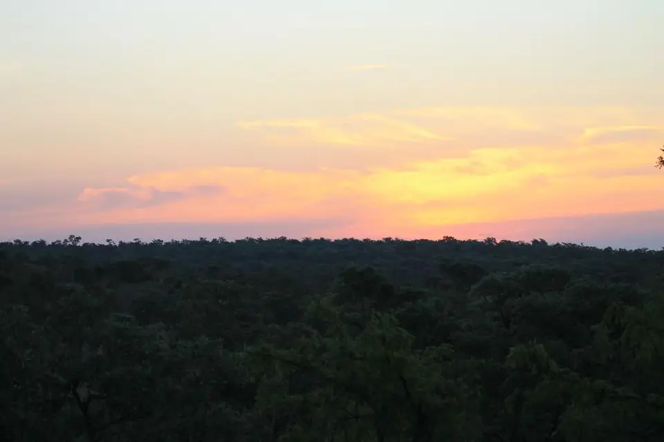 SA2016_028-2.jpg