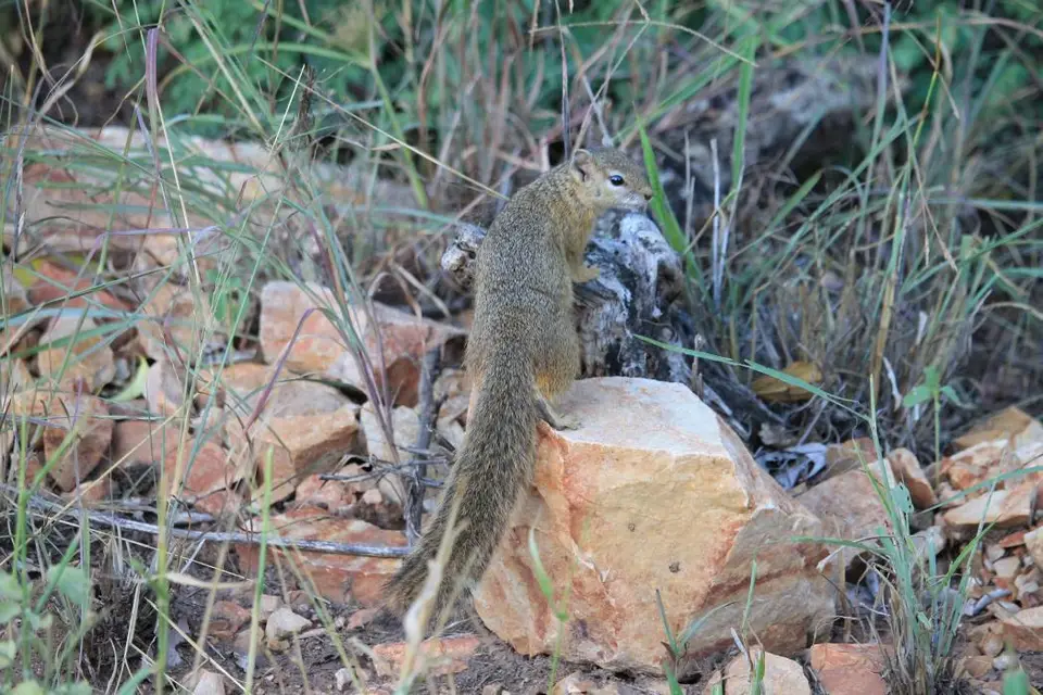 SA2016_030-2.jpg
