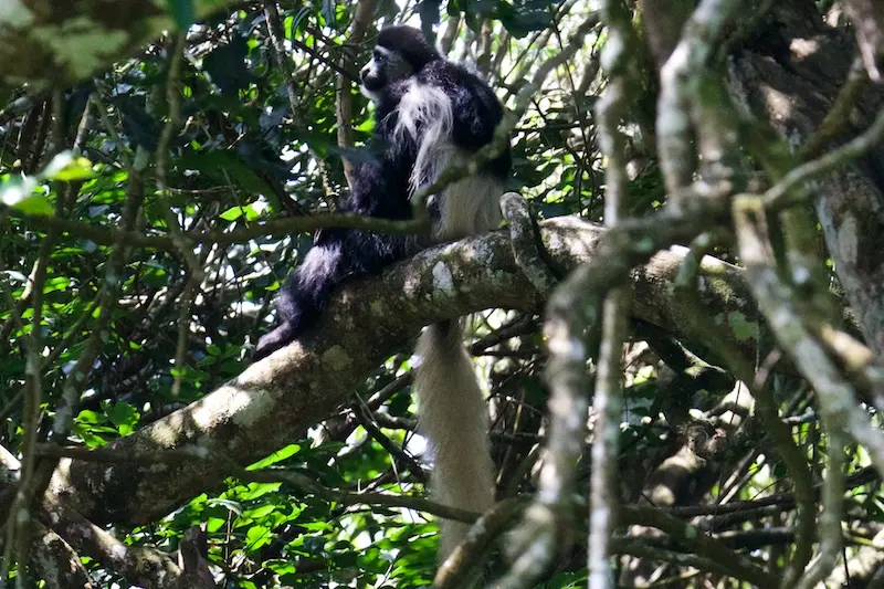 Arusha263.jpg