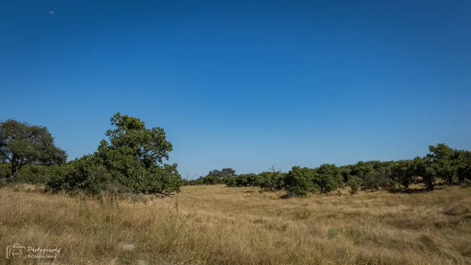 D7AG1645.jpg