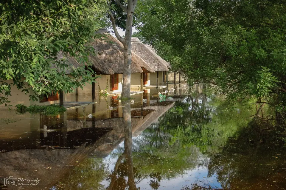 IMG_5418.jpg