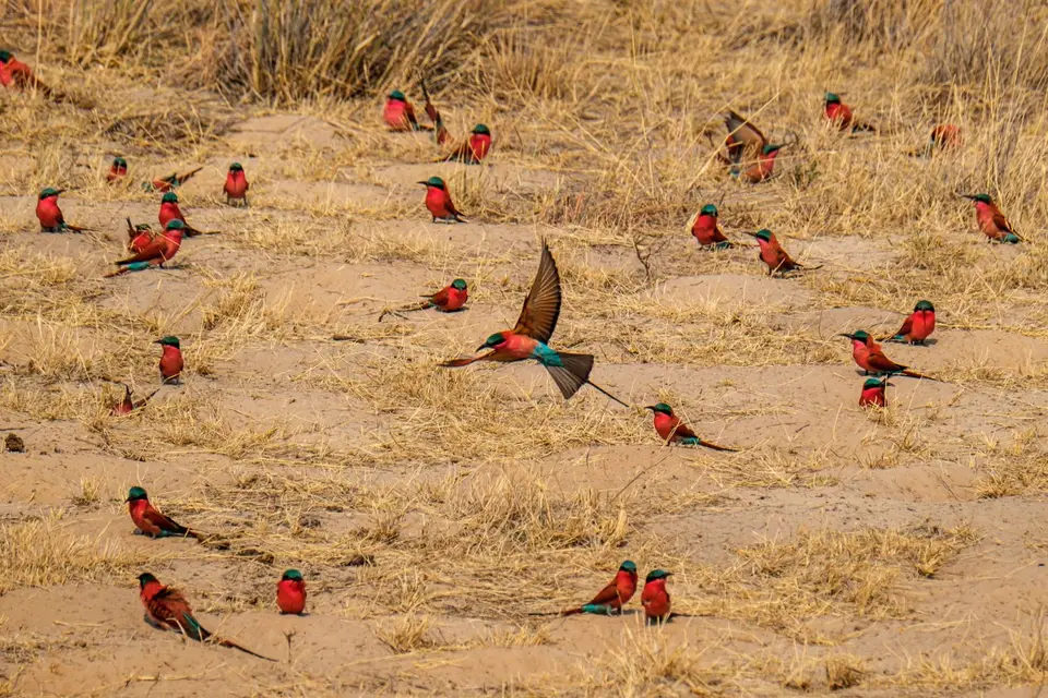 2019-09_afrika-1021.jpg