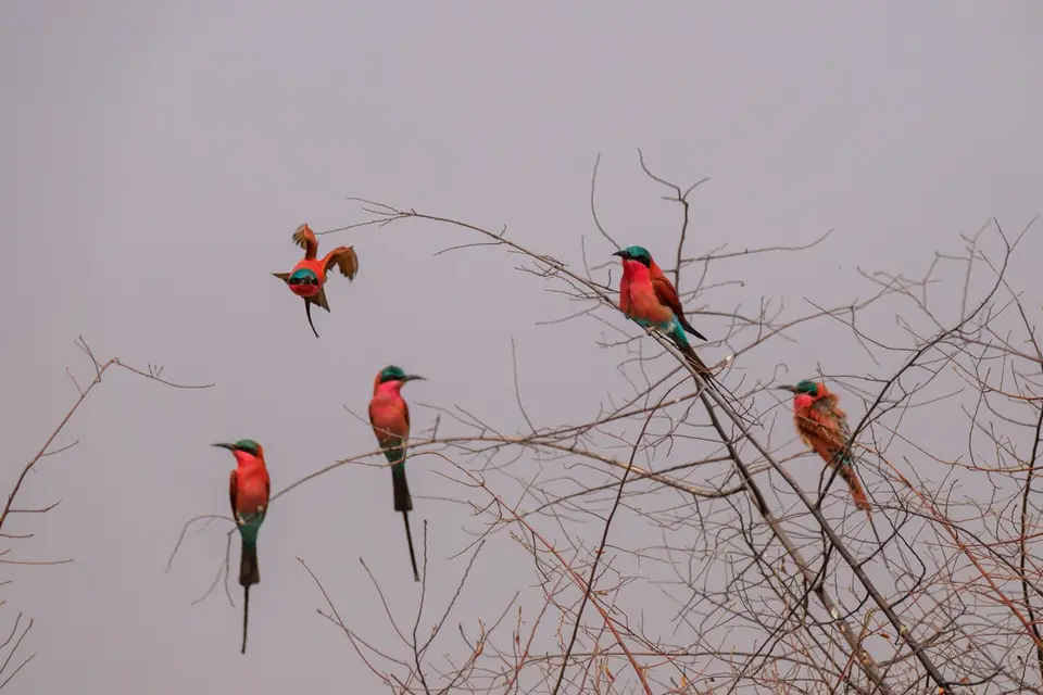 2019-09_afrika-1026.jpg
