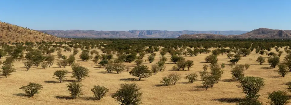 k-14.02FahrtzurunddurchKleinSerengeti02.jpg
