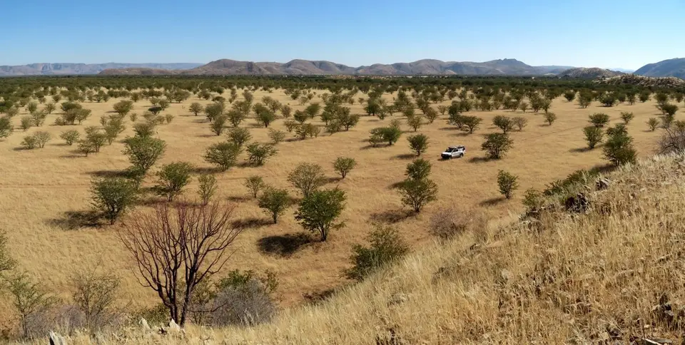 k-14.02FahrtzurunddurchKleinSerengeti03.jpg