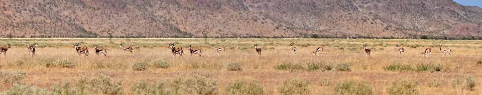 k-14.02FahrtzurunddurchKleinSerengeti07.jpg