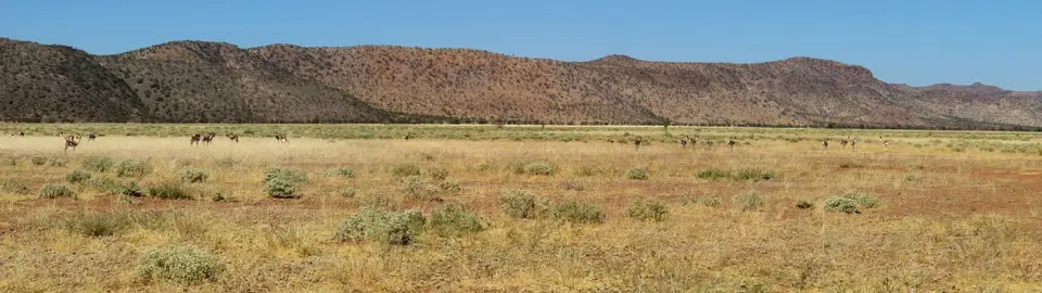 k-14.02FahrtzurunddurchKleinSerengeti09.jpg