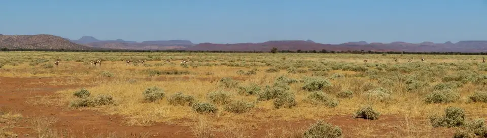 k-14.02FahrtzurunddurchKleinSerengeti10.jpg