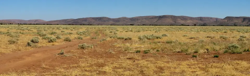 k-14.02FahrtzurunddurchKleinSerengeti11.jpg