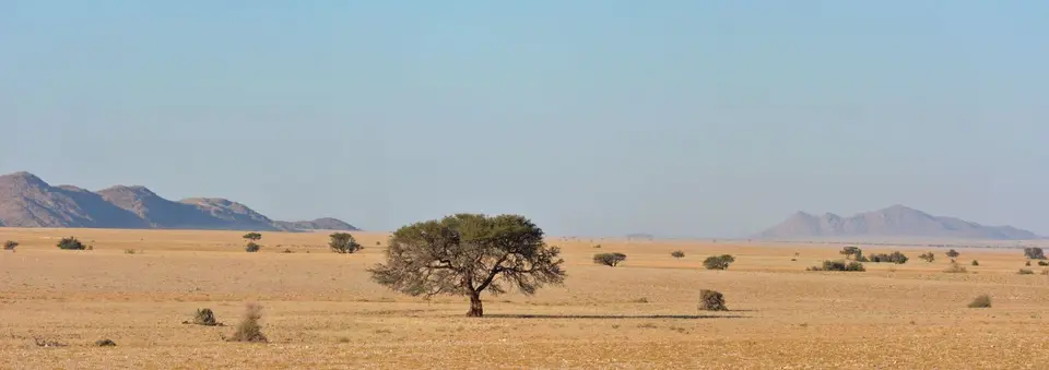 k-20.01NamibNaukluftNPamMorgen15_2.jpg