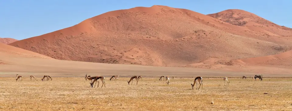 k-22.02FahrtinSossusvlei02.jpg