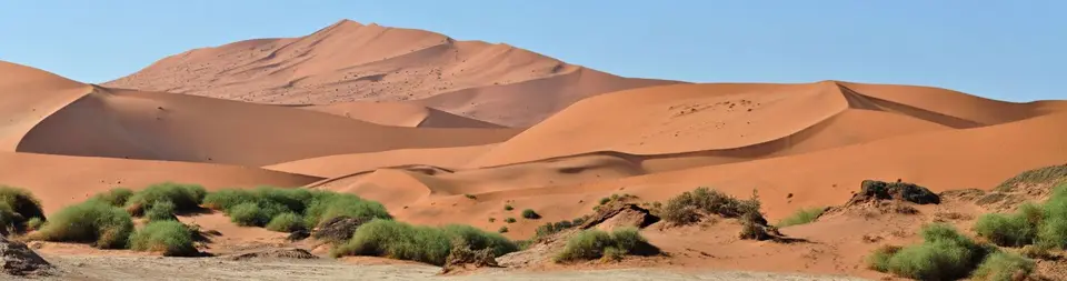 k-22.02FahrtinSossusvlei09.jpg
