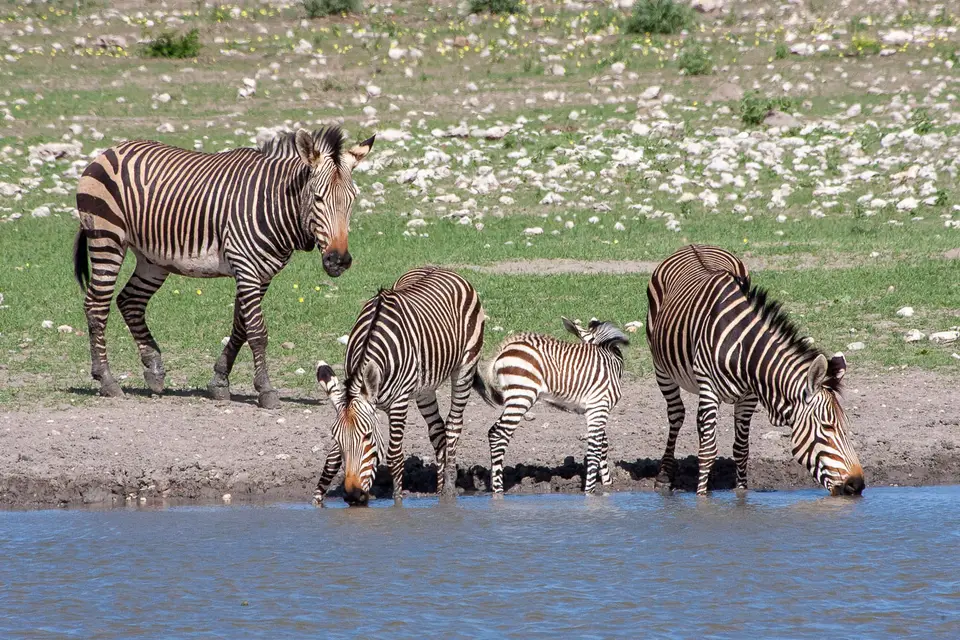 insta_QV2R2484.jpg