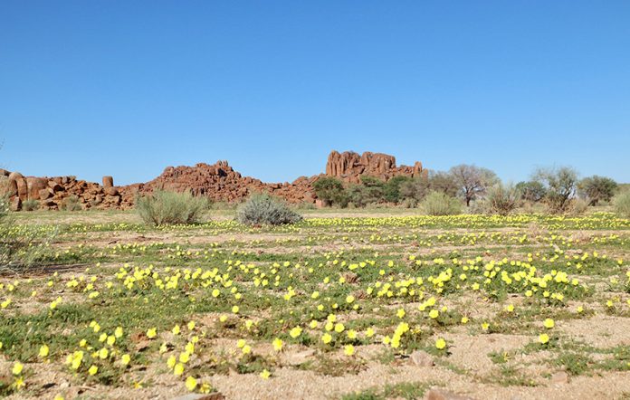 Namibia gelbgrüner Teppich