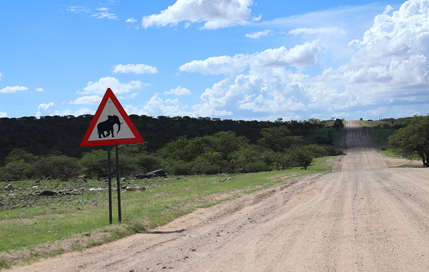 Namibia Elefantenverkehrsschild