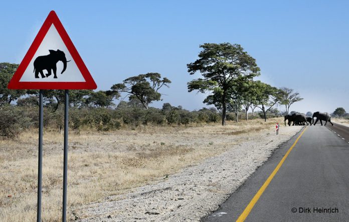 Vorsicht Tiere auf Namibias Straßen