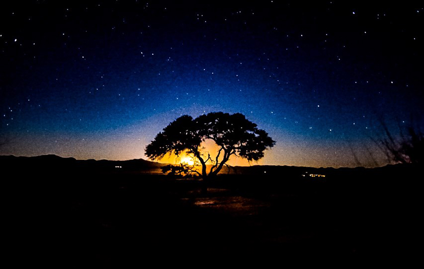 Gondwana Namib Park Sterne